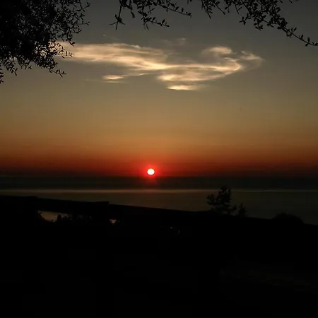 ファームステイ Codula Fuili *