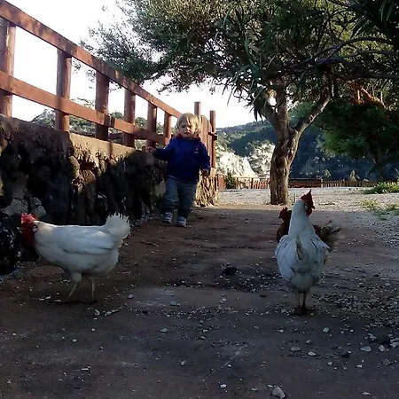 Codula Fuili Farm stay *