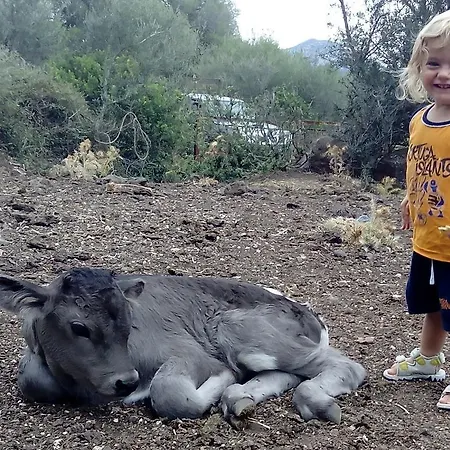 ファームステイ Codula Fuili