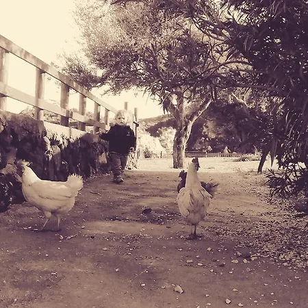 Codula Fuili ファームステイ *