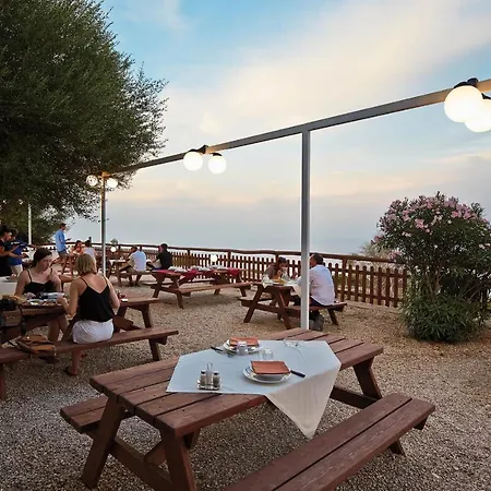 Codula Fuili カーラゴノネ