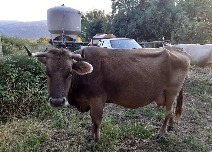 Codula Fuili Vakantieboerderij Cala Gonone