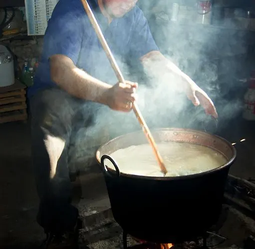 Codula Fuili Vakantieboerderij