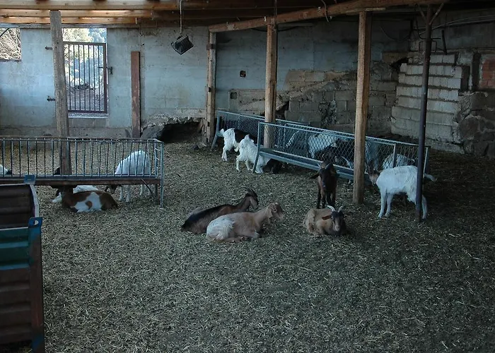 Codula Fuili Vakantieboerderij