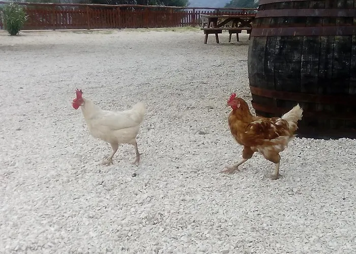 Vakantieboerderij Codula Fuili *