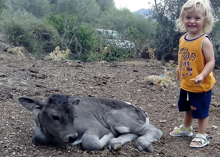 Vakantieboerderij Codula Fuili