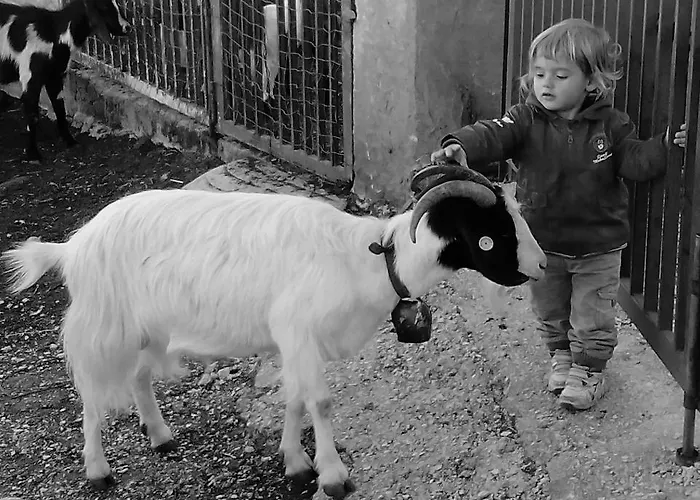 Codula Fuili Cala Gonone