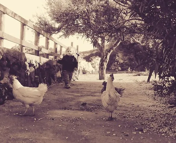 Codula Fuili Vakantieboerderij *