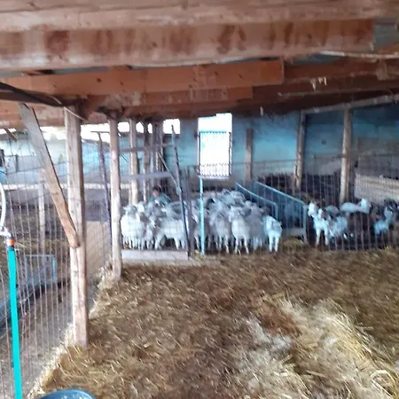 Séjour à la ferme Codula Fuili