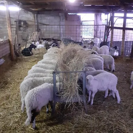 Codula Fuili Séjour à la ferme