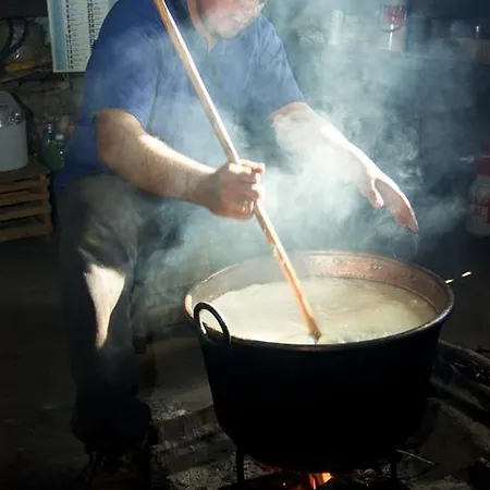 Codula Fuili Gospodarstwo agroturystyczne