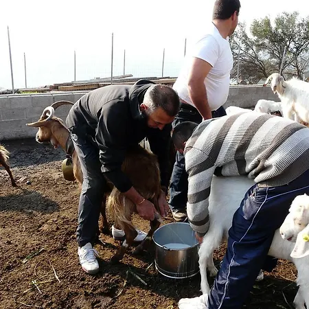 Codula Fuili Gospodarstwo agroturystyczne Cala Gonone