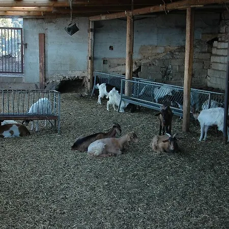 Codula Fuili Vakantieboerderij