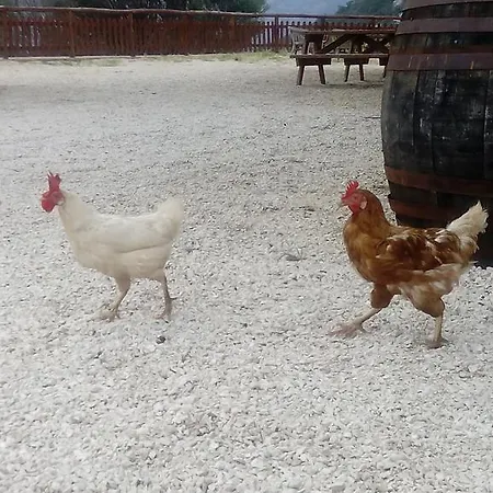 Vakantieboerderij Codula Fuili *