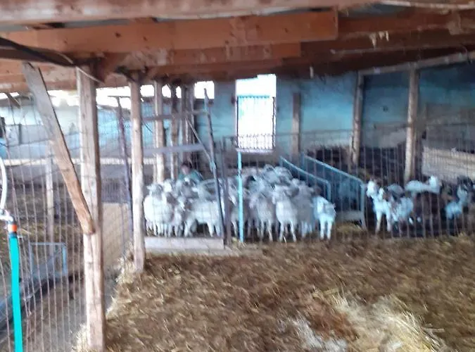 Vakantieboerderij Codula Fuili