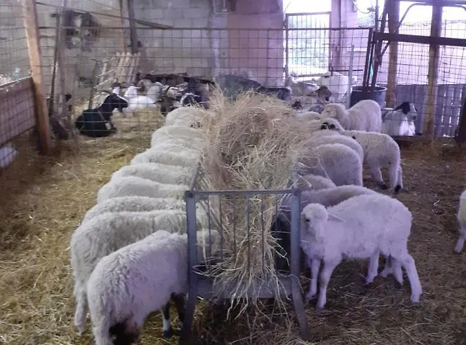 Codula Fuili Vakantieboerderij