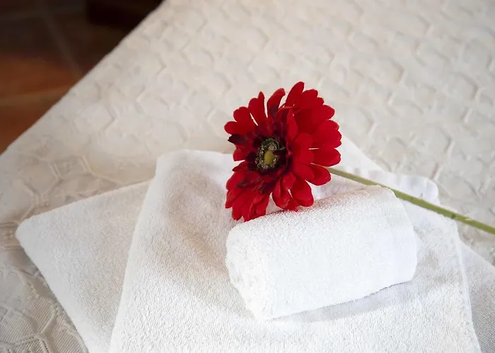 Codula Fuili Bauernhof *