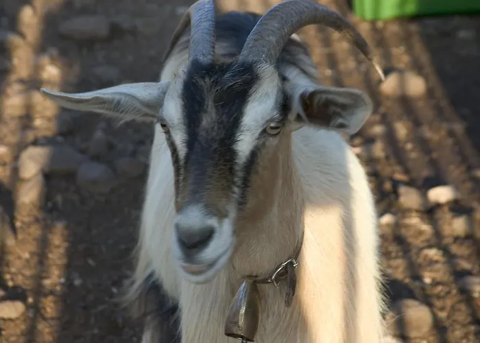 Vakantieboerderij Codula Fuili