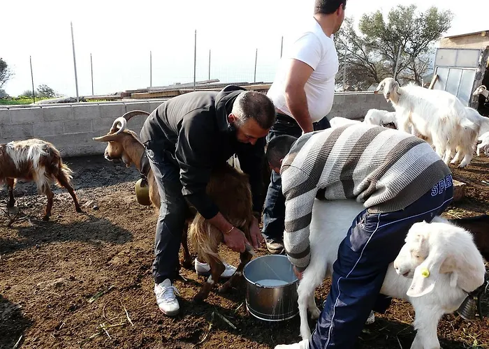 Codula Fuili Vakantieboerderij Cala Gonone
